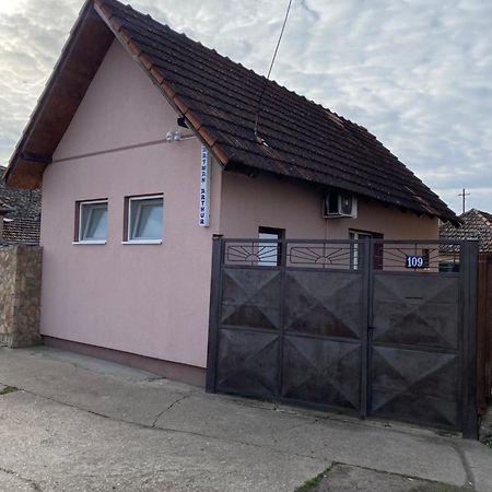 Apartman Arthur Kikinda Buitenkant foto